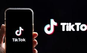 TikTok feedback grow TikTok account