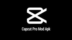CapCut Pro Mod Apk